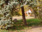 Рыболовно-охотничья база "Дубравушка"