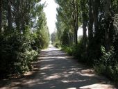 Рыболовно-охотничья база "Дубравушка"