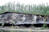 река Белянка