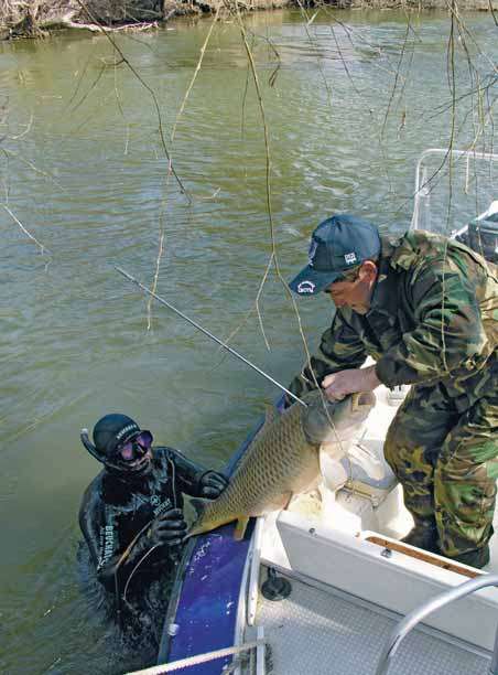 Рыбалка весной на реке в мутной воде: полезные советы и рекомендации