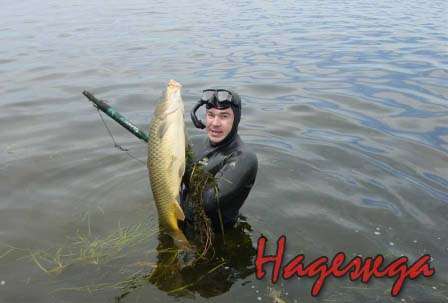 Подводная охота.jpeg Подводная охота.jpeg