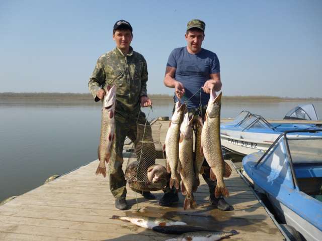 09042012001_1_.jpg - Рыболовно-охотничья база Золотые пески 09042012001_1_.jpg - Рыболовно-охотничья база Золотые пески