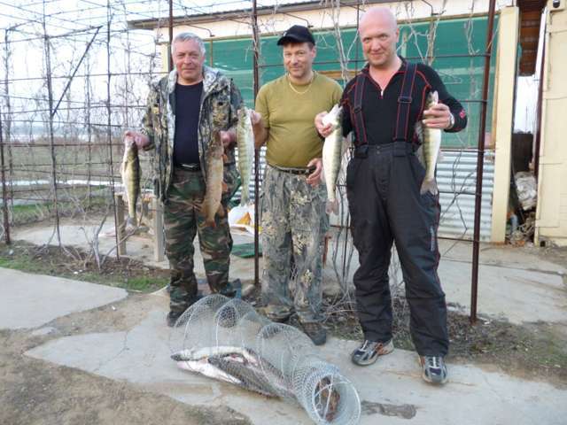 09042012003_1_.jpg - Рыболовно-охотничья база Золотые пески 09042012003_1_.jpg - Рыболовно-охотничья база Золотые пески