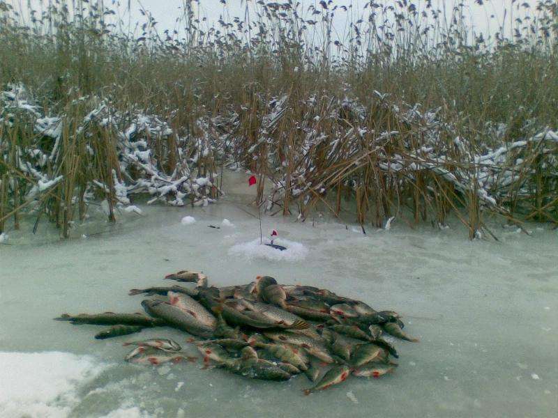 2.jpg - ЛЁД НА РАСКАТАХ