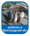 Рыбалка в волгоградской области 